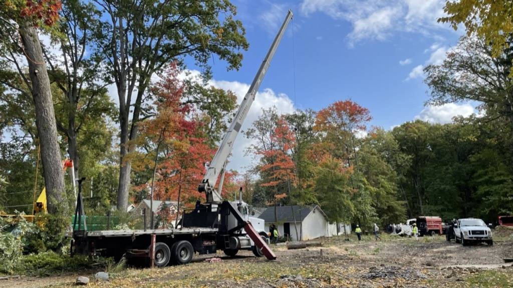 A boom truck with its arm raised on a cleared lot among tall autumn trees, with crew trucks parked beyond.